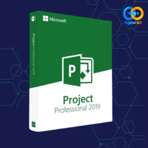 project-prefessional-2019