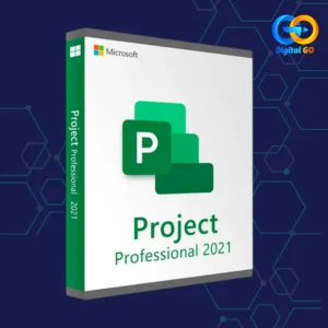 project-professional-2021